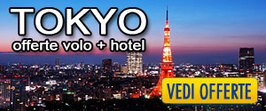 Pacchetti volo e hotel Tokyo